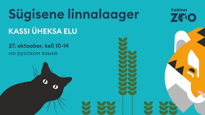 Loomaaia linnalaager “Kassi üheksa elu” (на русском языке)