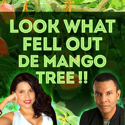 Look What Fell Out De Mango Tree - a Benefit Presentation