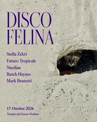 DISCO FELINA: Stella Zekri, Futuro Tropicale, Naydiaa, Butch Haynes b2b M.Brunetti