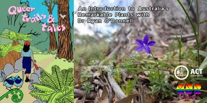 An Introduction to Australia's Remarkable Plants