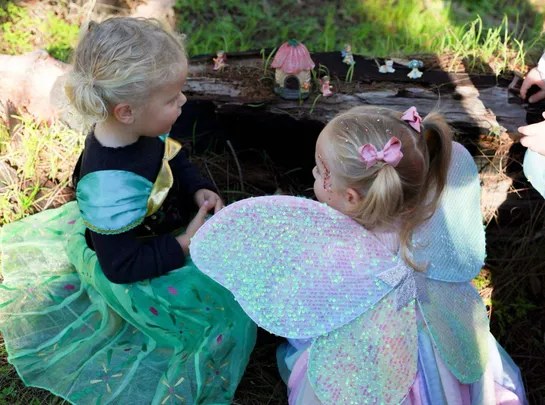 🌳🧚‍♀️🧚‍♂️ ENCHANTED FOREST 🌳🧚‍♀️🧚‍♂️