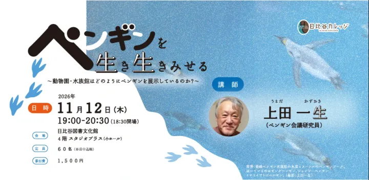 【日比谷カレッジ】ペンギンを生き生きみせる　～動物園・水族館はどのようにペンギンを展示しているのか？～