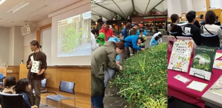 【植物観察家 鈴木純先生と歩く】絵本＋植物観察さんぽ
