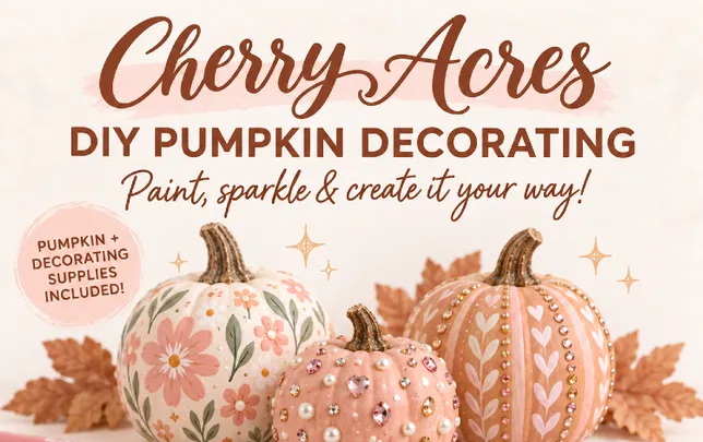 DIY Pumpkin Decorating at Cherry Acres