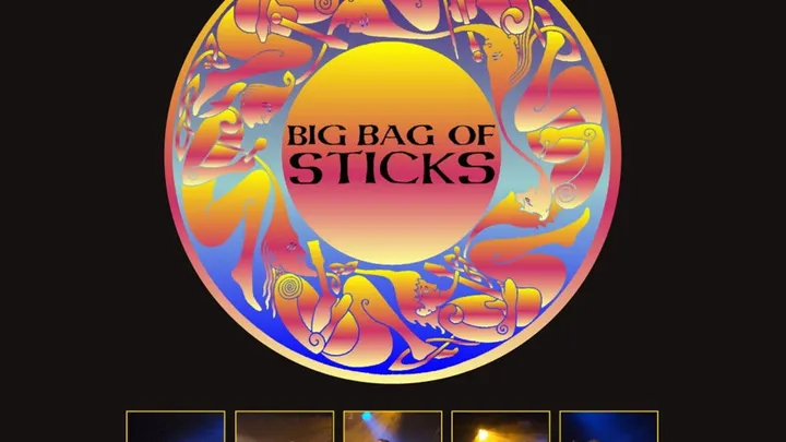 Big Bag of Sticks
