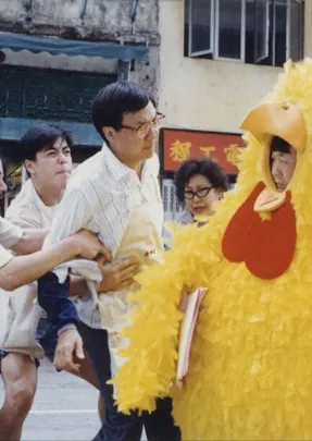 Chicken and Duck Talk