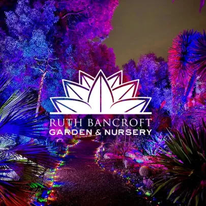 Garden of D'Lights