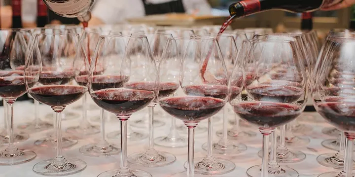 Drink Seminar: Unveiling the Secrets of Japanese Liquor