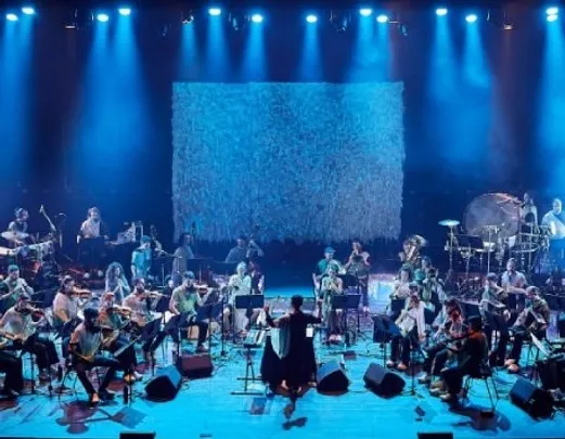 Orquestra de Músiques d'Arrel de Catalunya (OMAC)