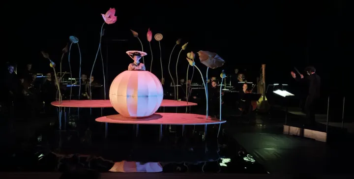 Momo l'enfant pêche – avec l'Orchestre de Chambre de Genève