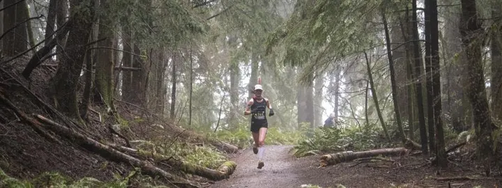 Squak Mountain
