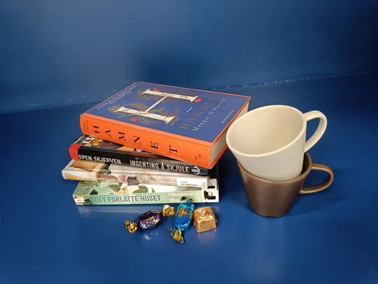 Bibliotekdrøs