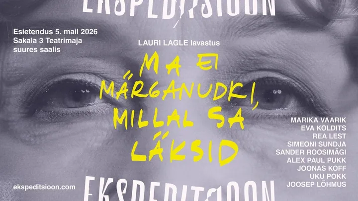 Ma ei märganudki, millal sa läksid - 14.11