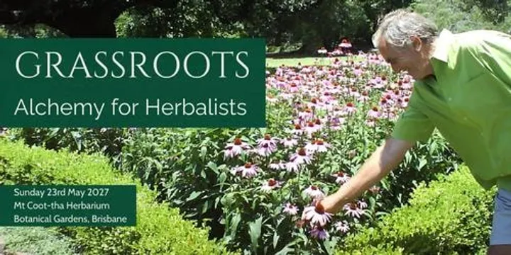 Grassroots: Alchemy for Herbalists 2027