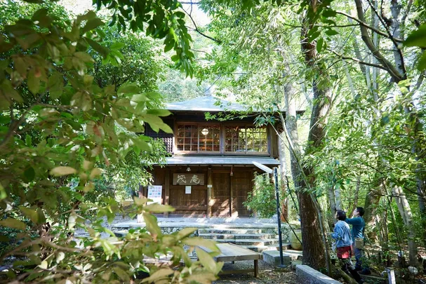 先着順【茂庵】山上モダン茶室群を特別見学、千利休が愛した「楽茶碗」づくり＆田舎席でお茶を