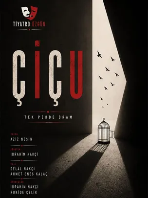 Çiçu