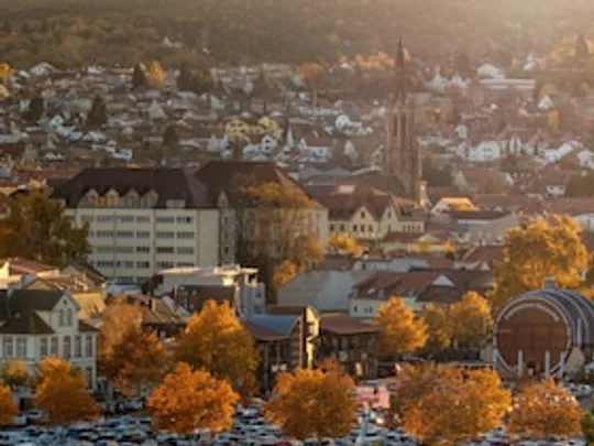 Herbstzauber: Stadtgeschichte(n), Zwiebelkuchen & Neuer Wein
