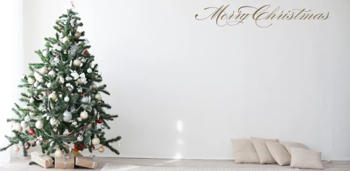 あきた☆みんなのクリスマス２０２６