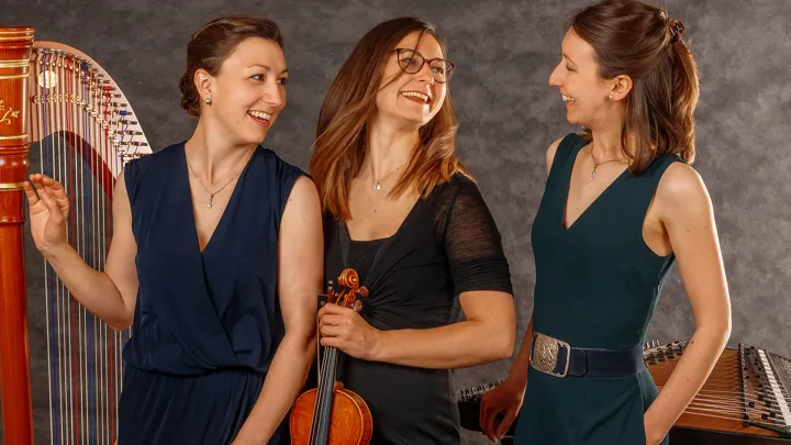 Ensemble Vielsaitig