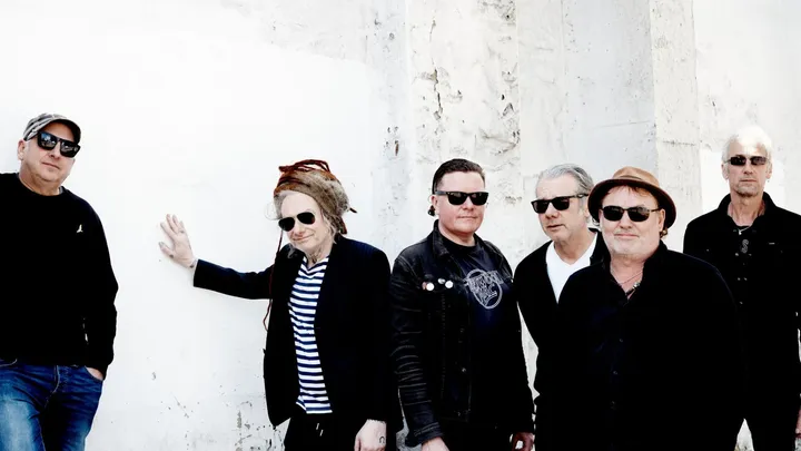Levellers - Celebrating 35 Years of Levelling The Land
