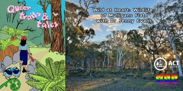 Wild at Heart: Wildlife of Mulligans Flat