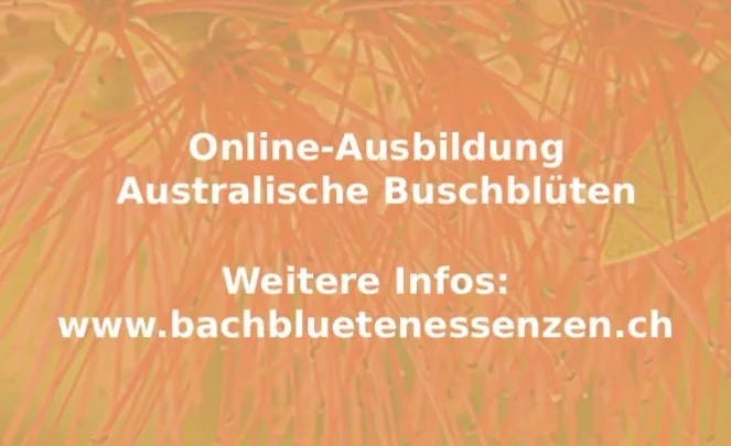 Australische Buschblüten (Online-Ausbildung)