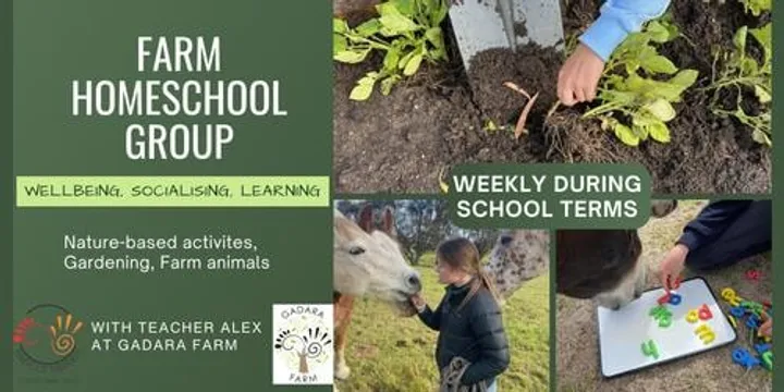 Farm Homeschool Social Group