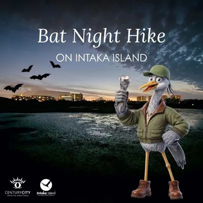 Bat Night Hike on Intaka Island
