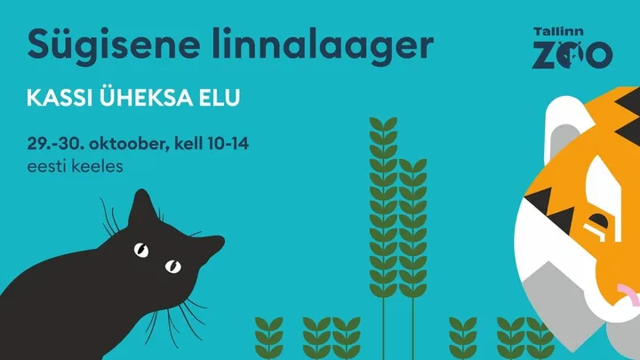Loomaaia linnalaager "Kassi üheksa elu" (kahel päeval 10.00-14.00)