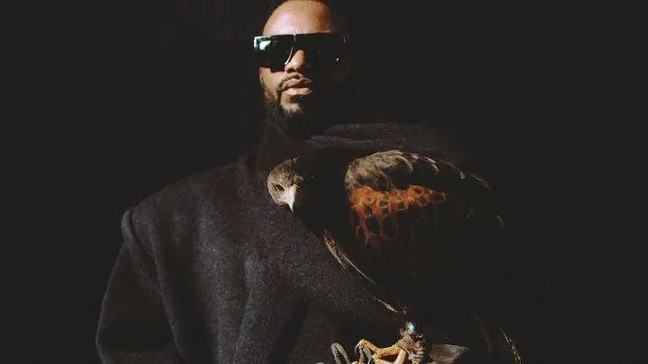 Fally Ipupa