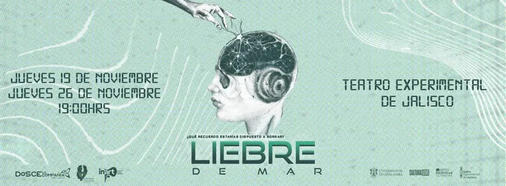 Liebre de mar
