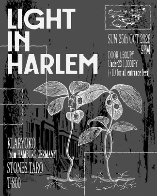 Light In Harlem with KLARYOKO