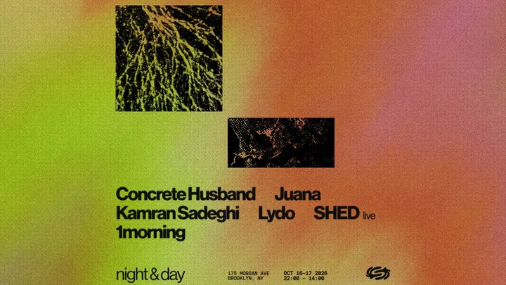 Night & Day: Shed (LIVE), 1morning, LYDO, Juana, Kamran Sadeghi, Concrete Husband