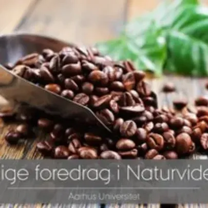 Foredrag: Kaffe
