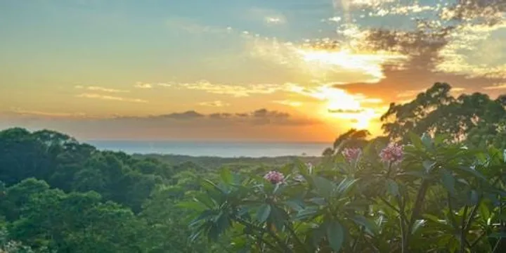Mindfulness - A Path With Heart