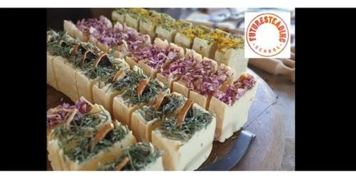 Goat Soap Making Autumn 2027