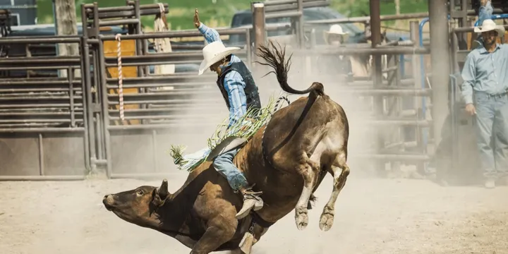 PBR Medicine Hat Classic - Co-op Place