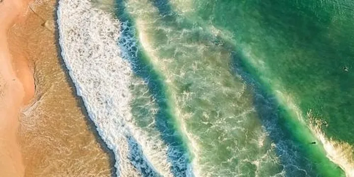 Turning the Tide: An Evening for Our Ocean