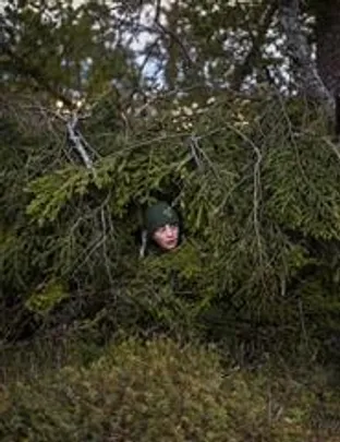 FESTA DO CINEMA FRANCÊS | Le Chant des Forêts