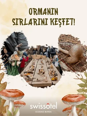 FungiTurkey ile Uludağ'da Mantar Avı