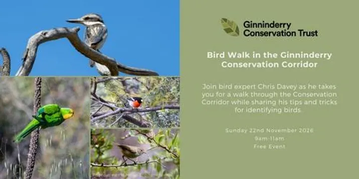 Spring Bird Walk with Chris Davey