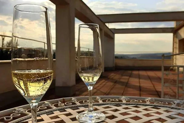 Večerní komentovaná prohlídka Winternitzovy vily