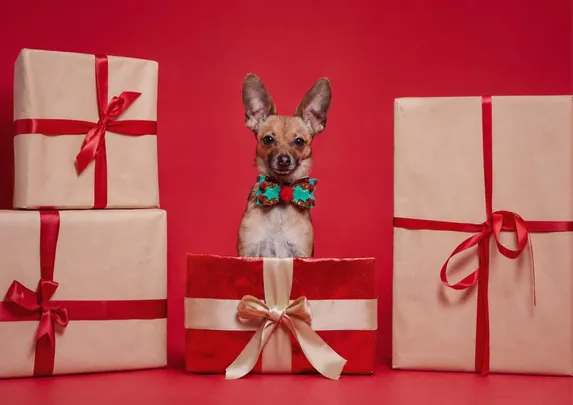 Holiday Photo Day