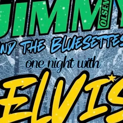 One Night With Elvis, vol.2