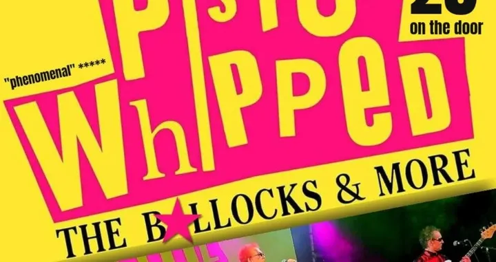 SEX PISTOLS by PISTOL WHIPPED