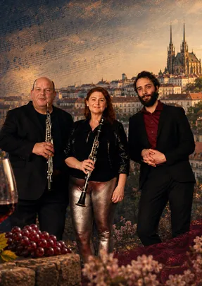 DEMOS Ensemble: Hudba 20. století | Komorní koncert