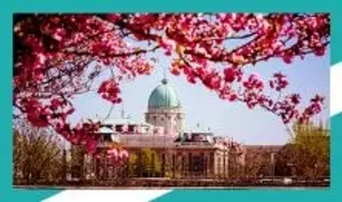 Várból Palota - Séta a Budavári Palotanegyedben, a Várkápolnában és a Királypincében