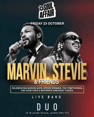 Soul Affair Marvin. Stevie & Friends