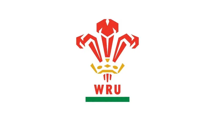 Guinness Women's Six Nations: Wales v Ireland