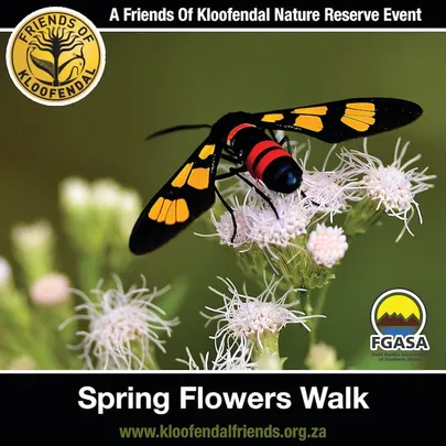 Spring Flowers Walk